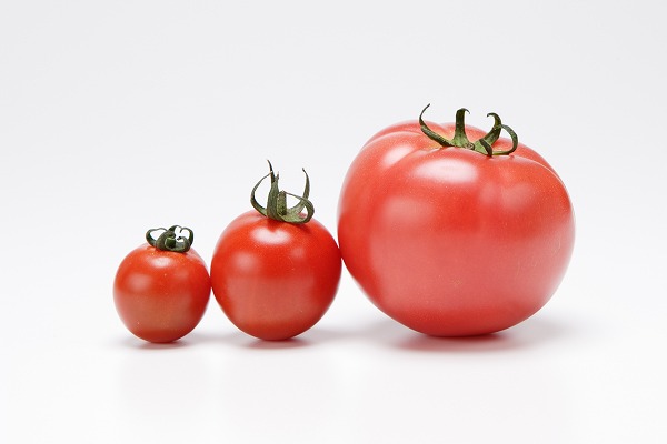 大玉トマト 完熟トマト ミニトマト プチトマトのフリー写真素材 食材 料理の無料画像 フード フォト Fd