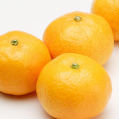 果物・フルーツ＞オレンジ・みかん