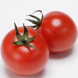 野菜・ベジタブル＞トマト