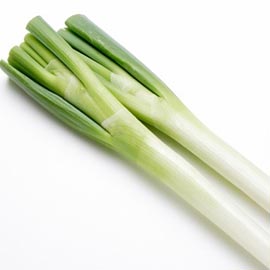 野菜・ベジタブルのフリー写真素材｜食材・料理の無料画像 フード・フォト